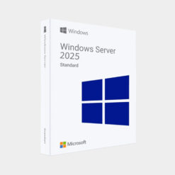 windows server