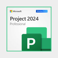 Microsoft Project 2024 Professional