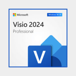 microsoft visio 2024 professional