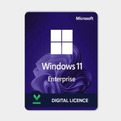 windows 11 entreprise