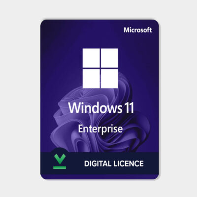 windows 11 entreprise